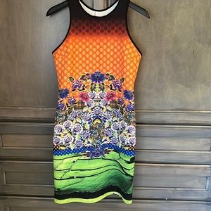 Clover Canyon bodycon dress
